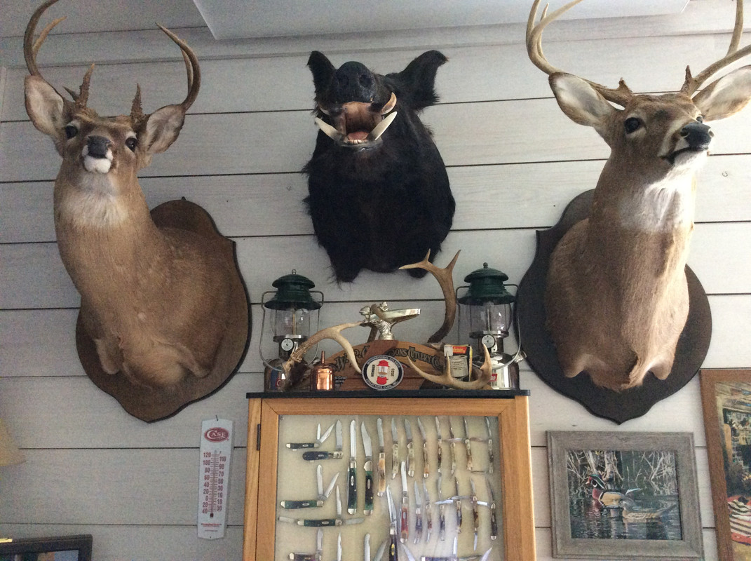 6E3BD670-06BE-43A9-9E1E-A617068536A1