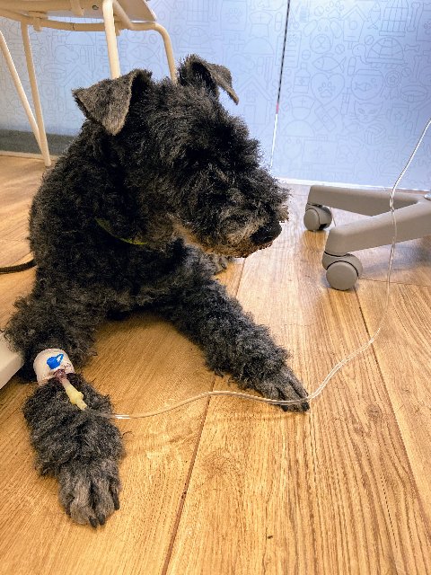 E2-ED9237-2349-490-E-9-C17-2445-AF8-BBC2