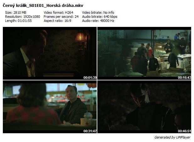 Černý králík / Black Rabbit (2025) /S01 /CZ