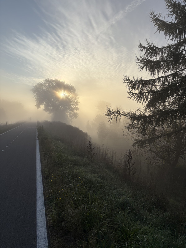 [Obrazek: IMG-0363.jpg]