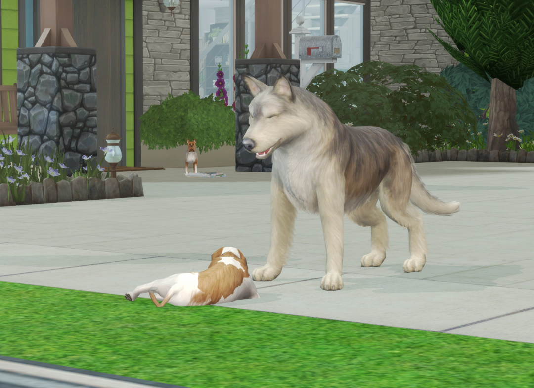 Sims2-EP9-RPC-2024-05-15-20-51-52-52