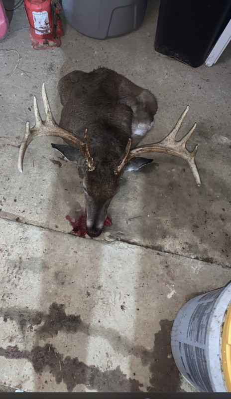 380FEF43-CDA4-4A5E-B81E-F6842F21012A