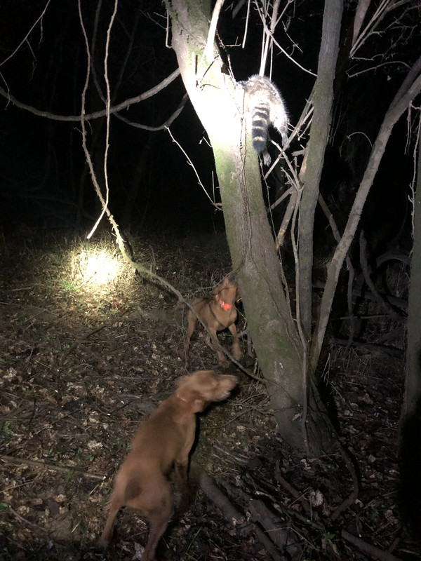 217D4ED0-6BD1-4700-83E6-4481D9E2F78D