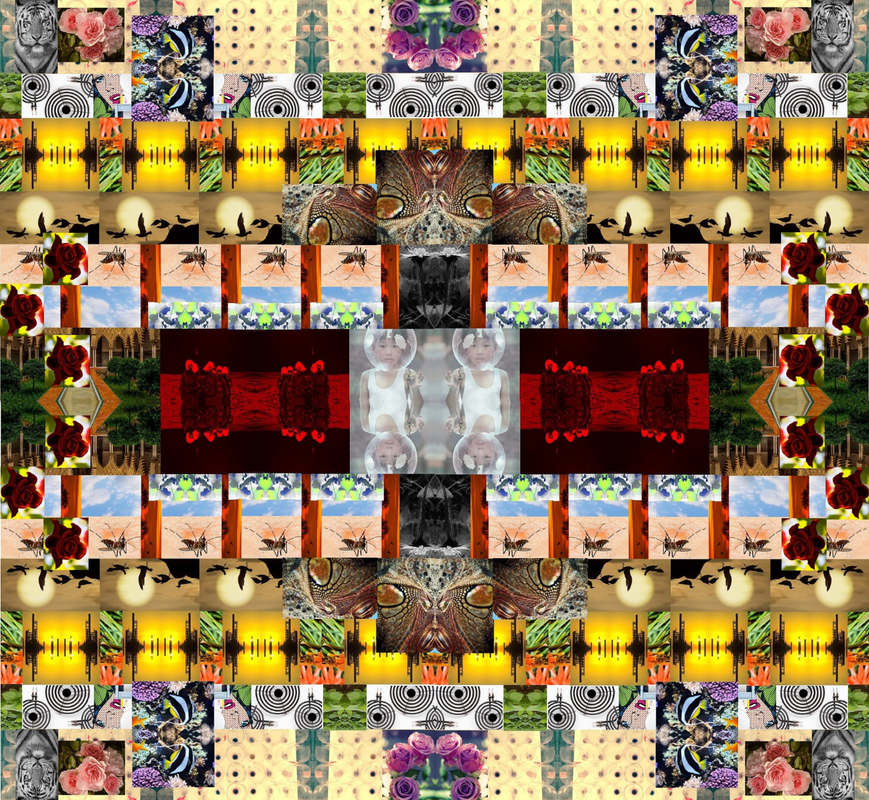 POPPY3.png