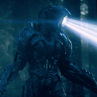 new-finds-tv-av.gif