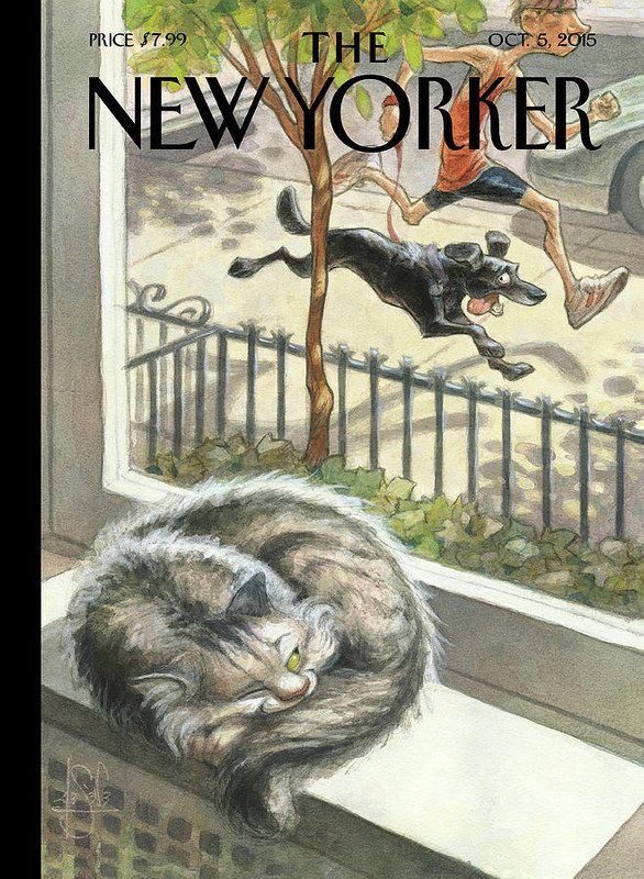 1-catnap-peter-de-seve