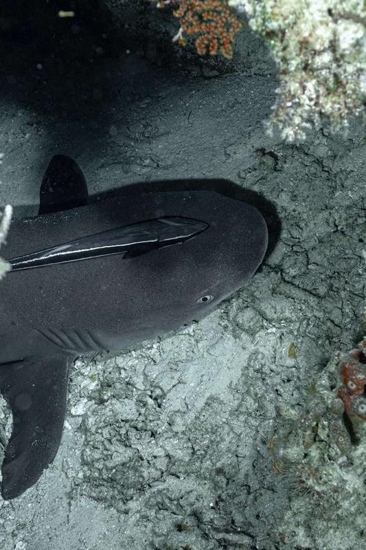 C5B0770C-7584-4725-AA71-2A2DF230DC42