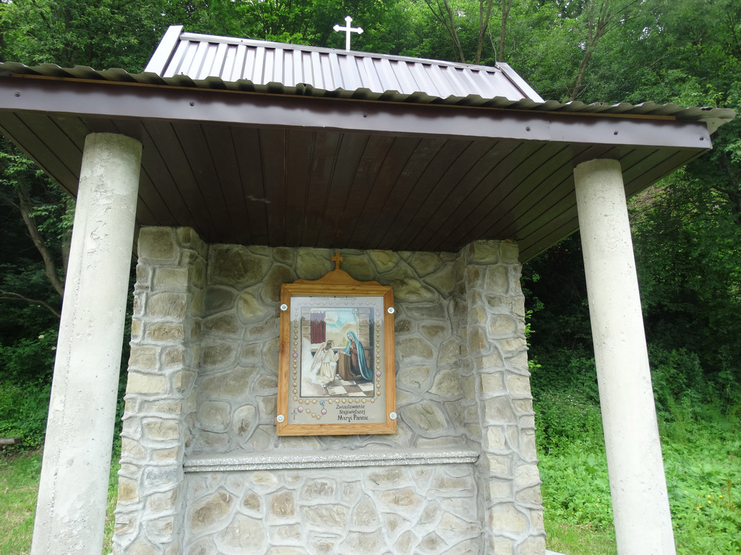 061 - DSC01113 (johny)