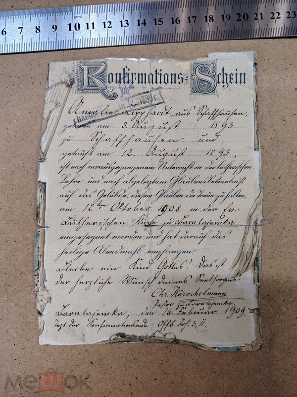 Amalia Lipphardt 03 08 1893 Schaffhausen