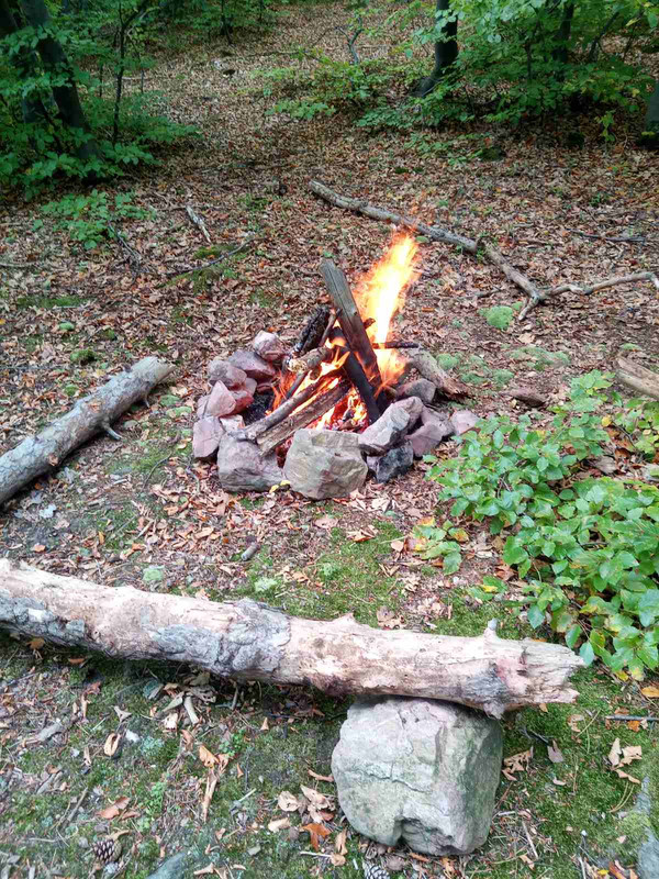 IMG-858001440577aac7cfc861b6f40af1cf-V