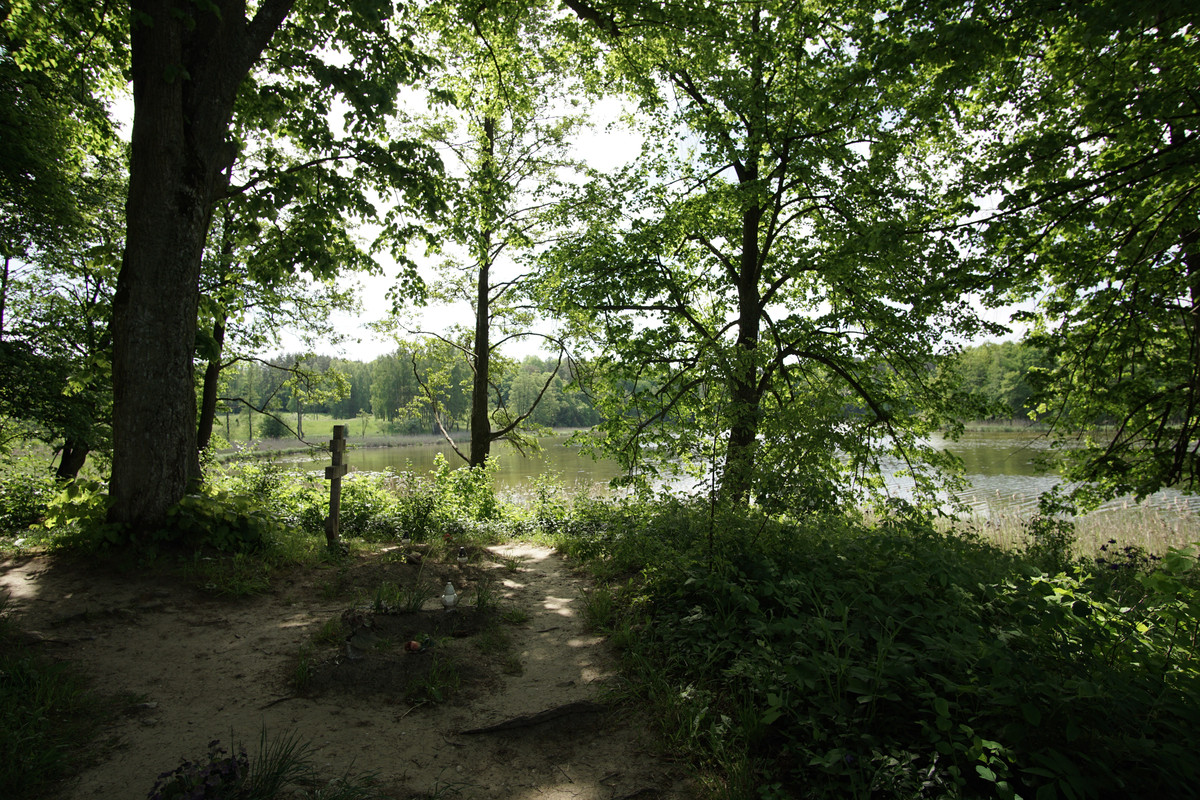 12 - DSC00547 (zbychowiec)