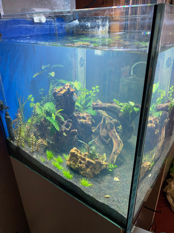 F3E95F8B-E6C8-4CA3-822B-F9413410750D