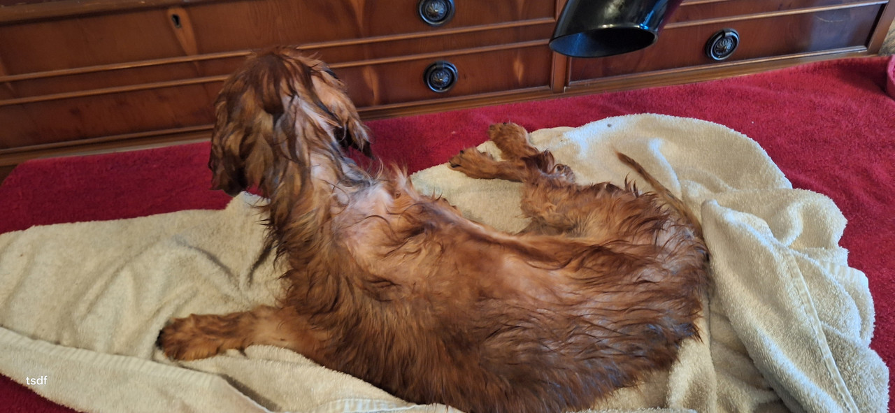 [Image: 20250719-095624.jpg]