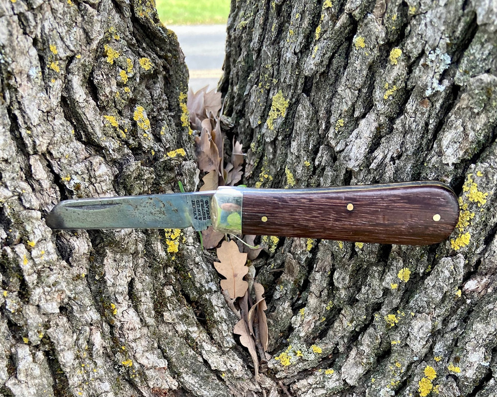 6490609E-6AE4-405C-A451-0B7D78D74A4E