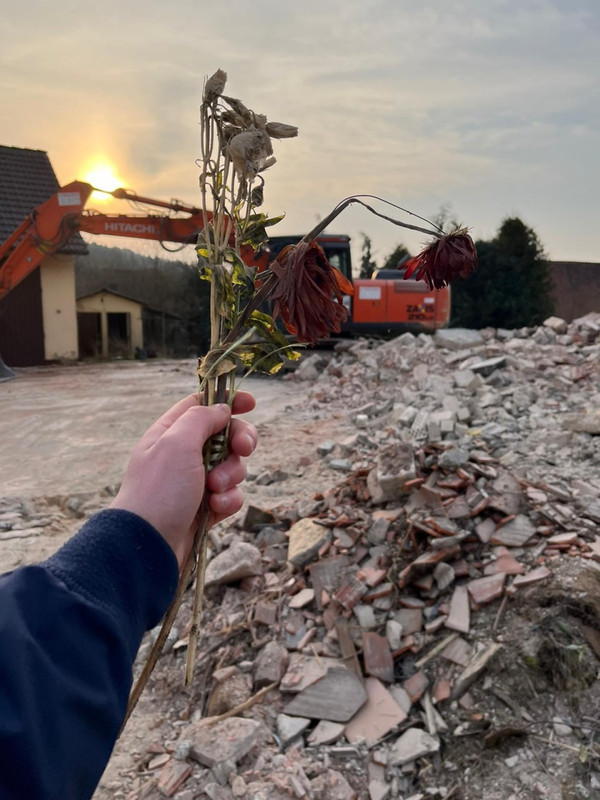 0EEEEE98-5FB1-4C17-BD46-1E24263B175E