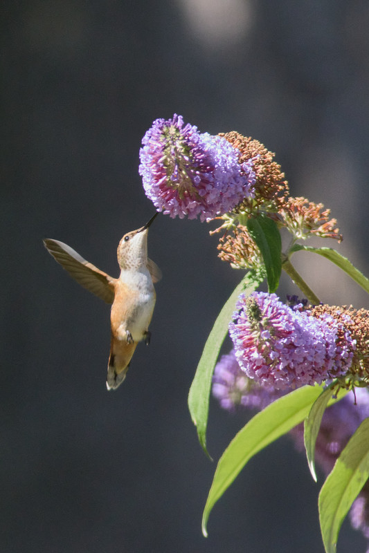 C4EBA90D-F515-4181-A271-C88902F1FC6A