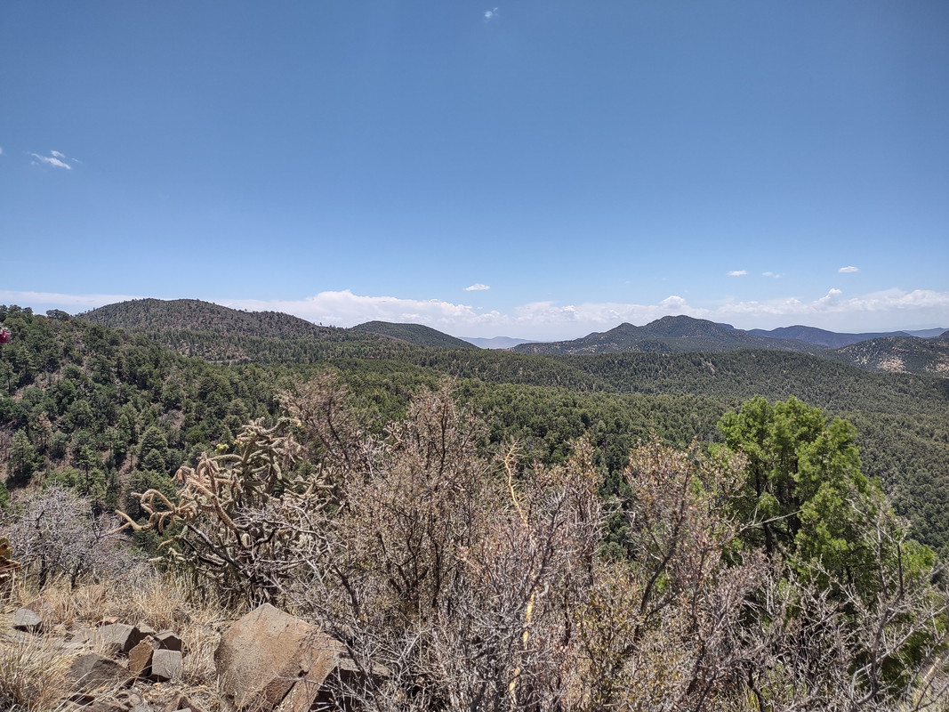IMG_20250704_123207030_HDR