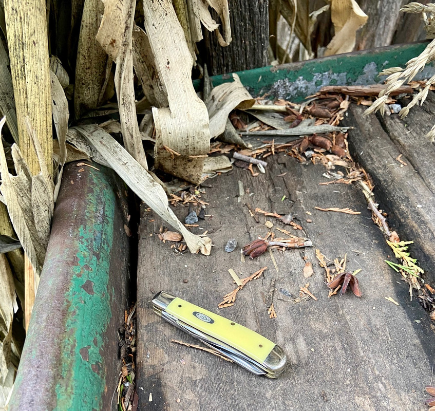 5D04AE2F-E53F-4FAD-88F3-255B31F16489