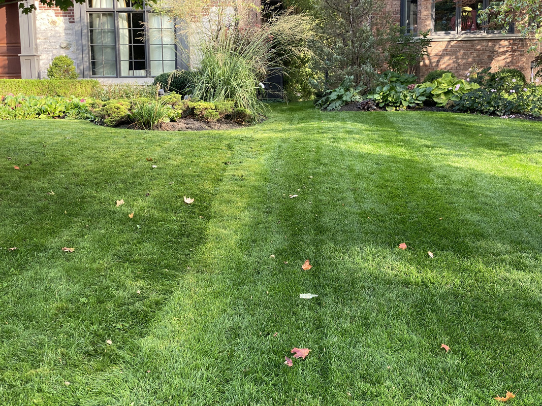 F649C344-7291-4E0A-84A3-970B5501B459