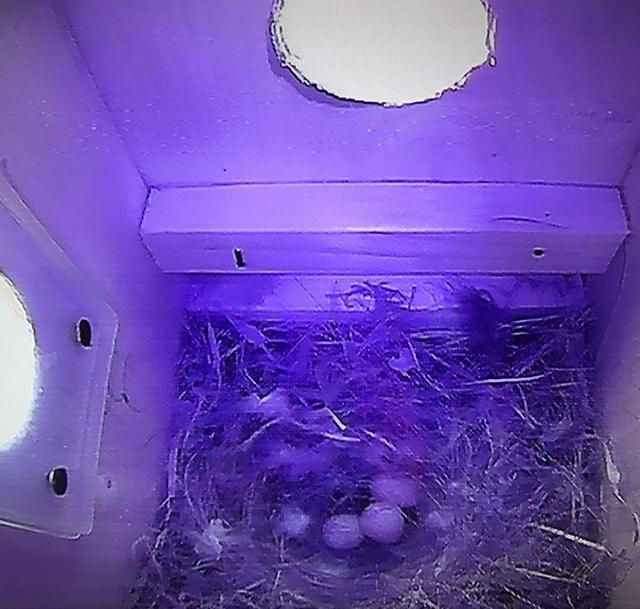 352DD3C7-A132-447E-A237-CE024A191F10