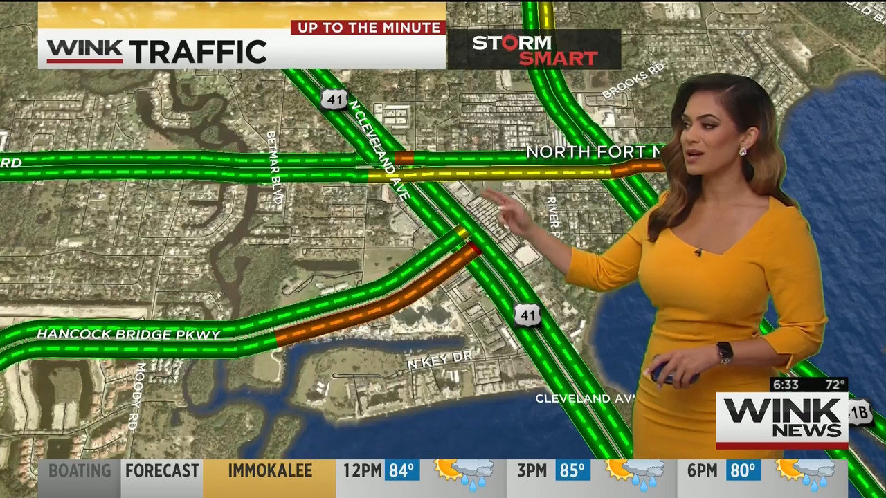15 May - 11.00.00 - WINK News This Morning..ts_snapshot_15.42_[2020.05.15_23.35.22]