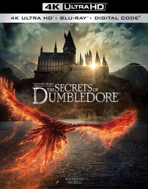 Fantastyczne Zwierzęta: Tajemnice Dumbledorea / Fantastic Beasts The Secrets of Dumbledore (2022) MULTi.2160p.UHD.BluRay.Remux.HEVC.DoVi.HDR.TrueHD.7.1.Atmos-fHD / POLSKI DUBBING i NAPISY