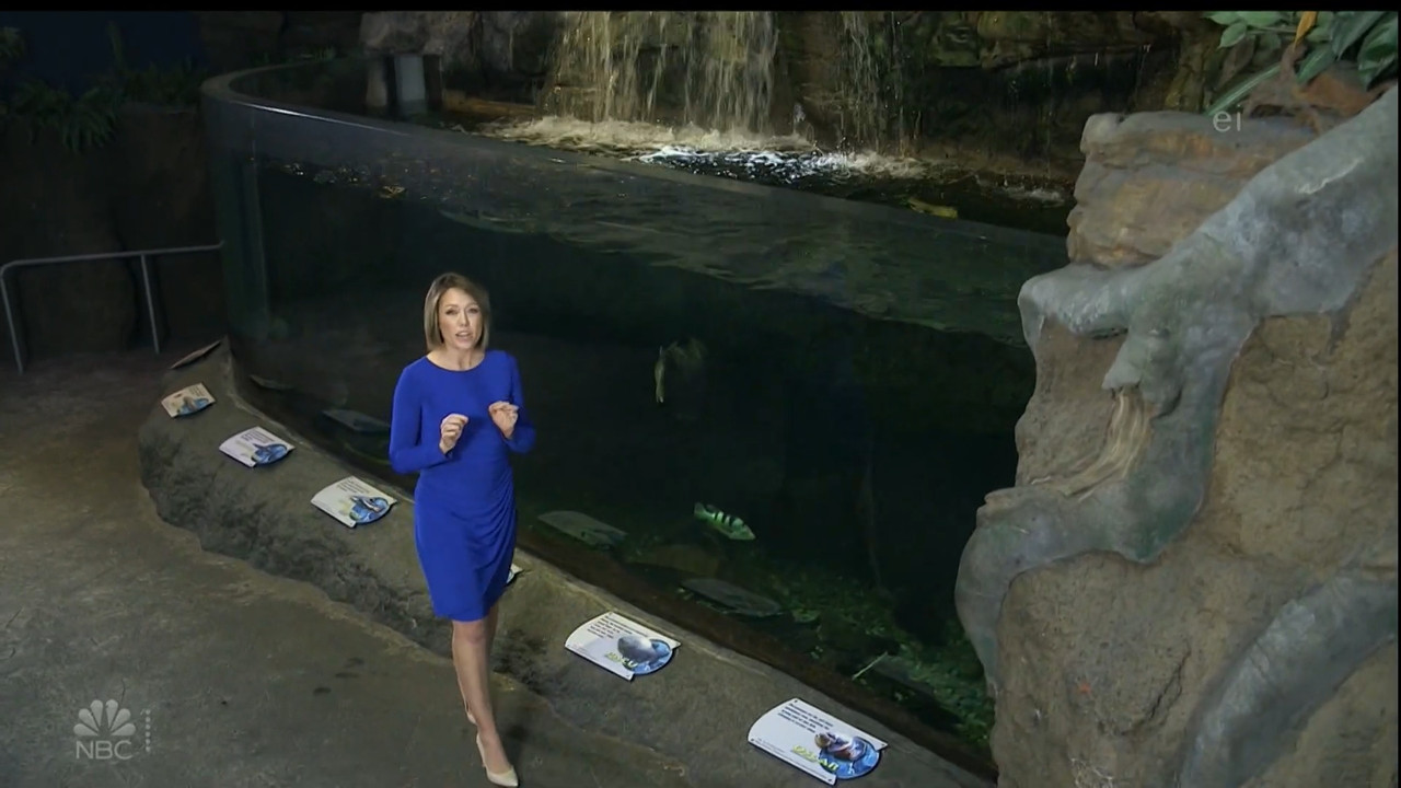 11.07 - 15.00.00 - Earth Odyssey With Dylan Dreyer. The world's smart....ts_snapshot_00.14.41.553