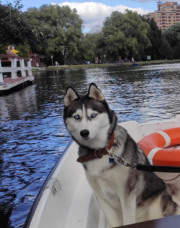 100807BA-FC7A-4E8F-9480-887BA2894490