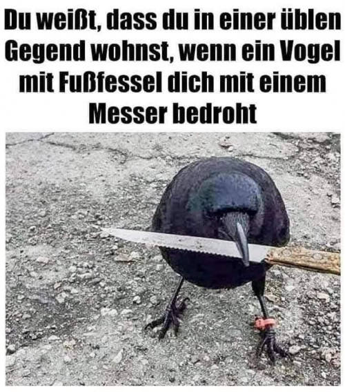 thumbs-picdump909-005.jpg
