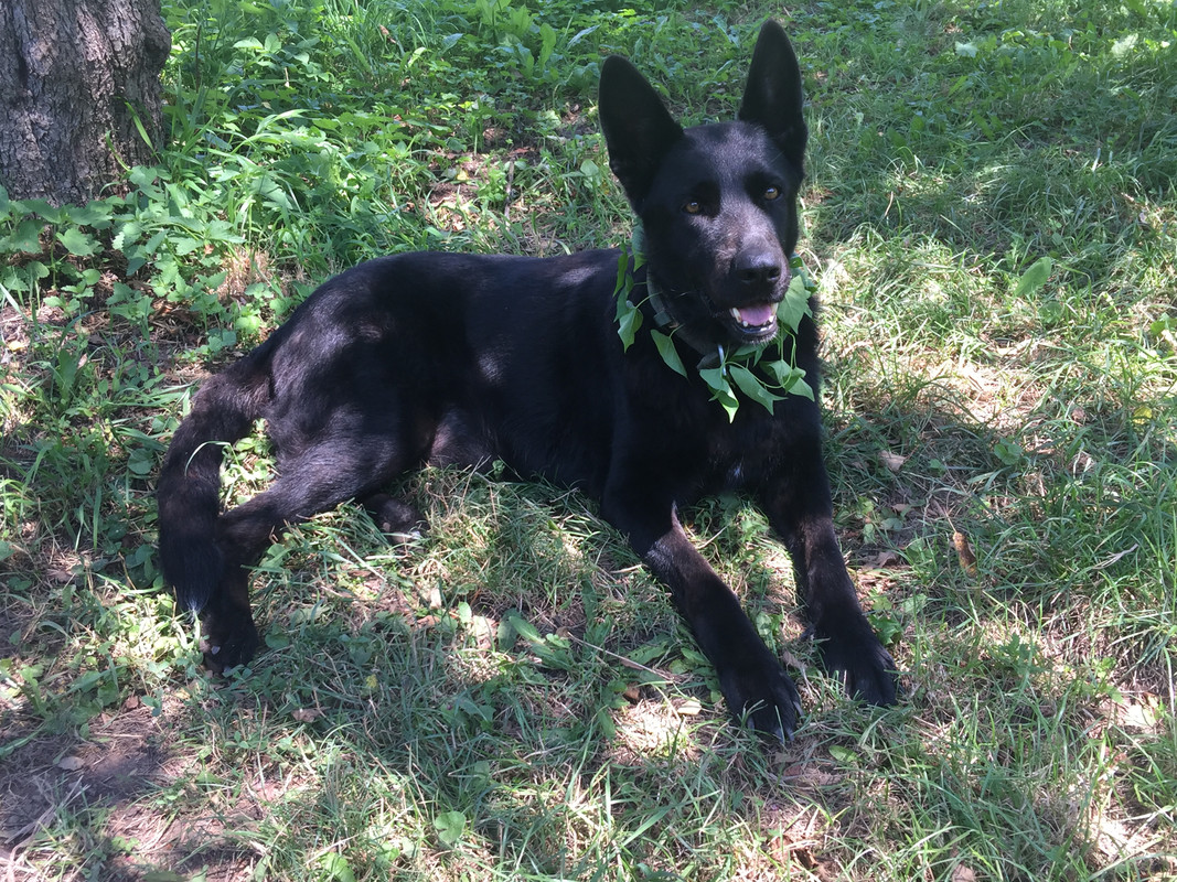 1DD97484-2268-4EBD-A65E-FE7AB394D905