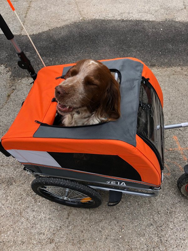 41CC2B28-5DCA-45DD-A2D1-2600DA565C81