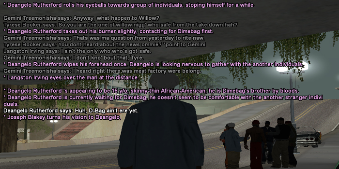 SS1.jpg