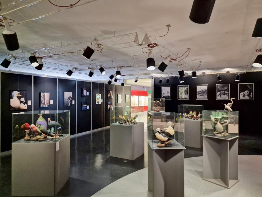 Who is it?: prosegue fino a marzo la mostra fotografica di Federica Zani al  Museo di Scienze naturali Malmerendi di Faenza (Ra)
