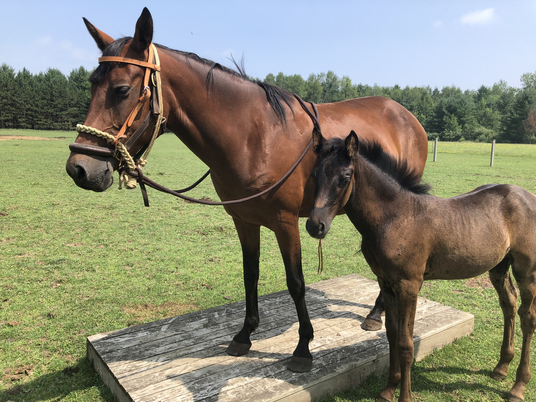 51003CBA-5CA7-474A-BBD5-DCC1C0795802