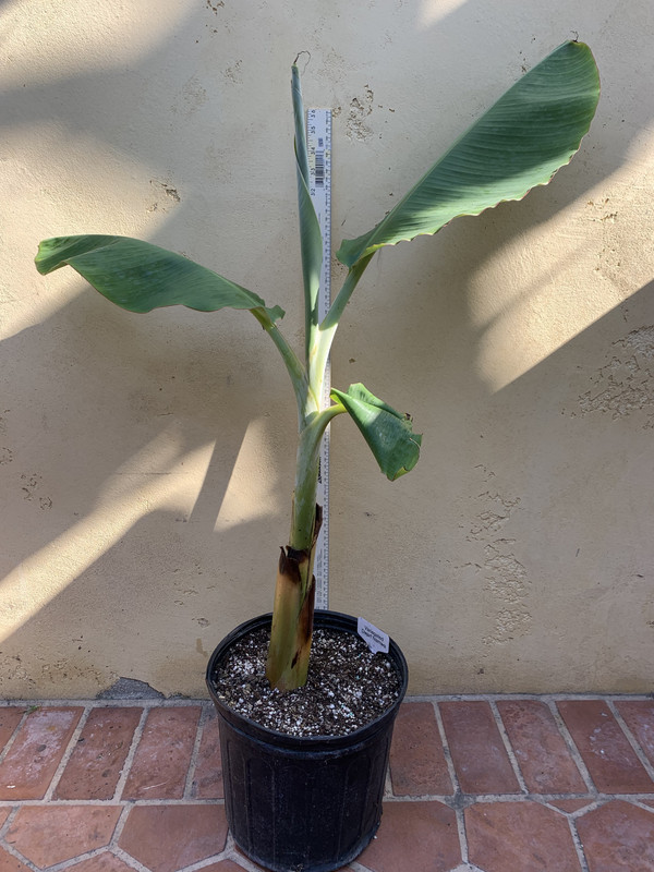 0B672BFE-010E-4684-A262-9F0367090678