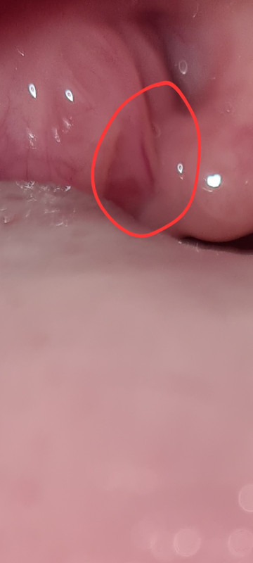 Screenshot 20260228 174801 Gallery