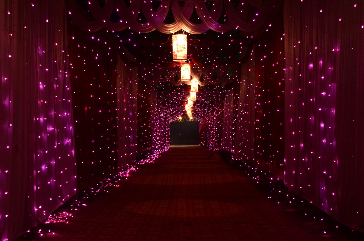 magentastronglights.jpg