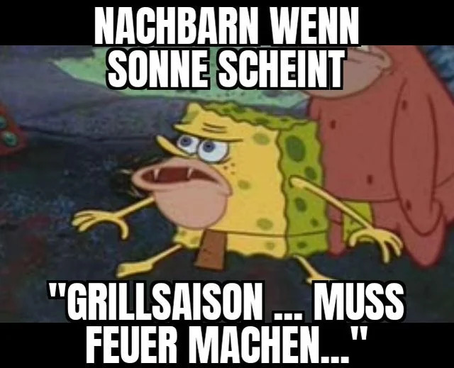 picdump-kw16-2025-096.jpg