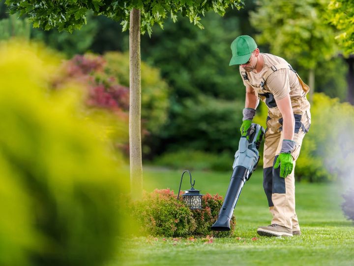 Garden Cleaning Services