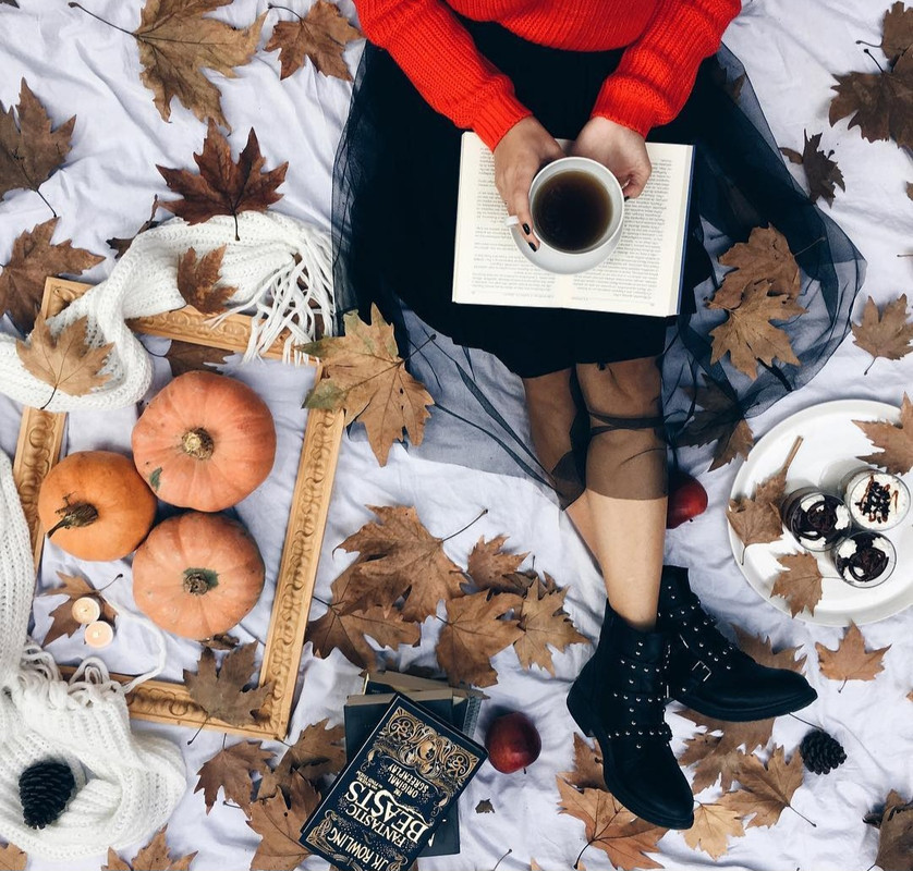 Screenshot_20231203_225831_Instagram