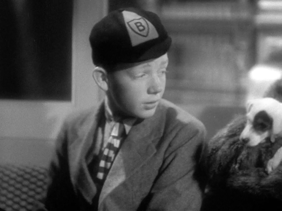 vlcsnap-2023-07-30-17h03m10s479