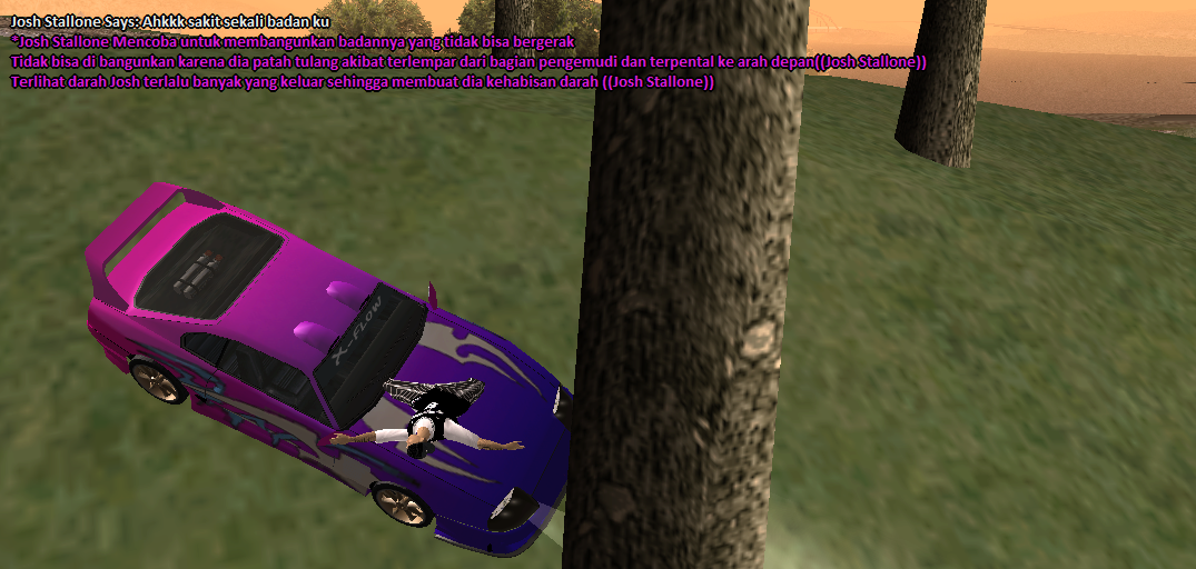 ss10.png