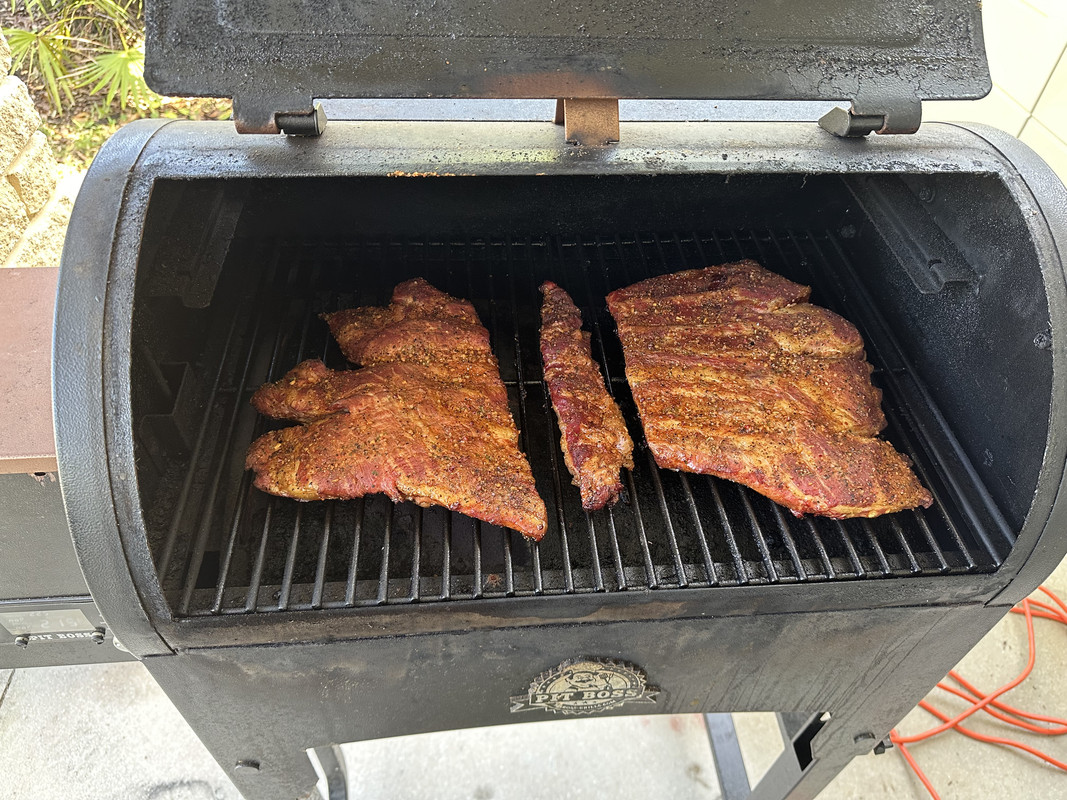 ribs