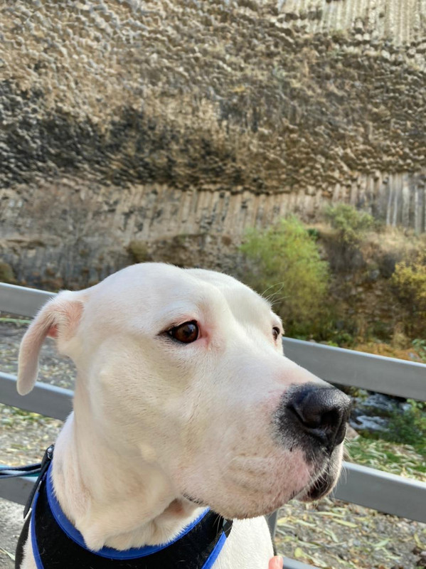 26ED6870-5D30-477F-A65C-4C5BEFD404D2