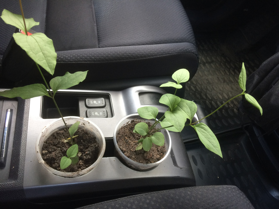 D427F042-1D5F-4770-B5C9-E23A87EDAF69