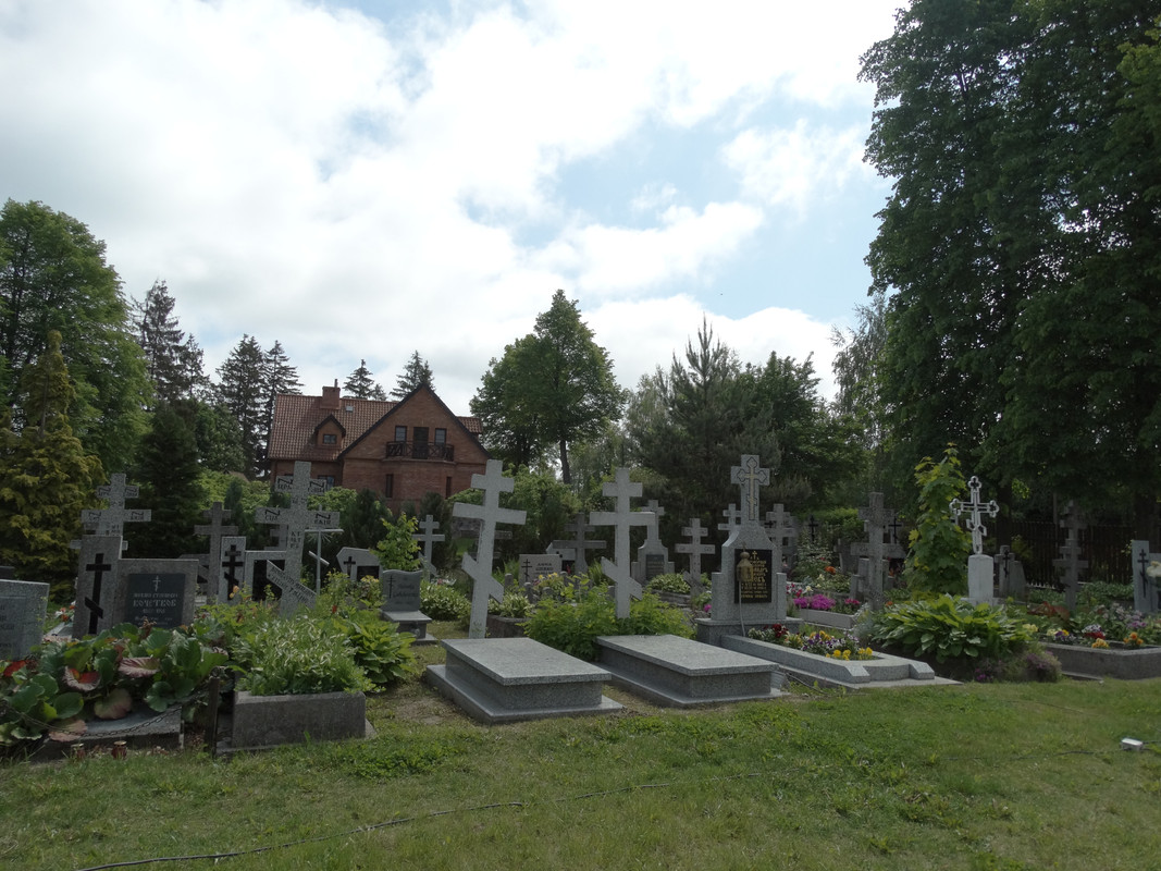 07 - DSC03820 (Czesio1)