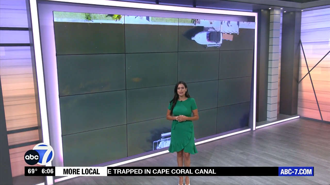 Abc7 More In The Morning Wkn 6Am Su 20240317 10001100-1.mp4_snapshot_07.14.288