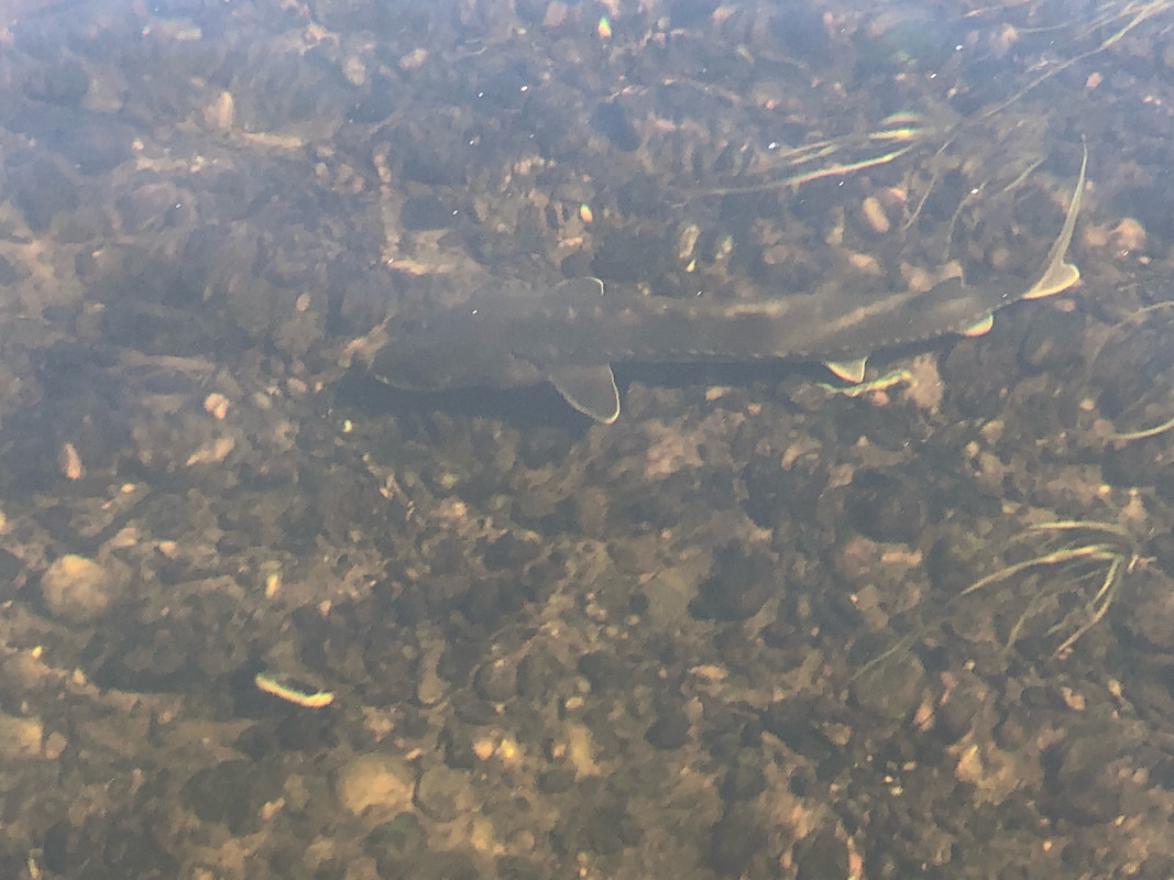 E5452925-A6B0-404F-927A-FE8B422F48CE