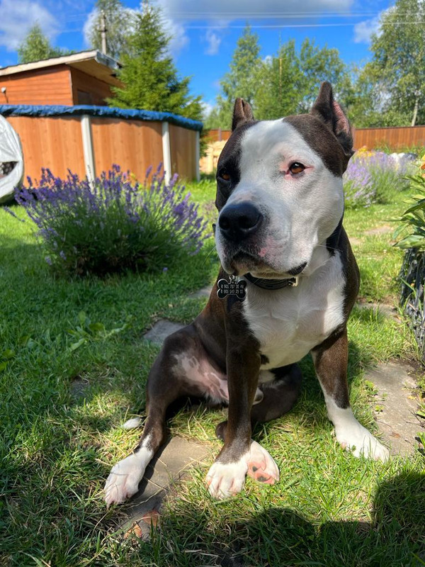 9DAD9409-21AA-4B0C-A5BC-82600189CF16