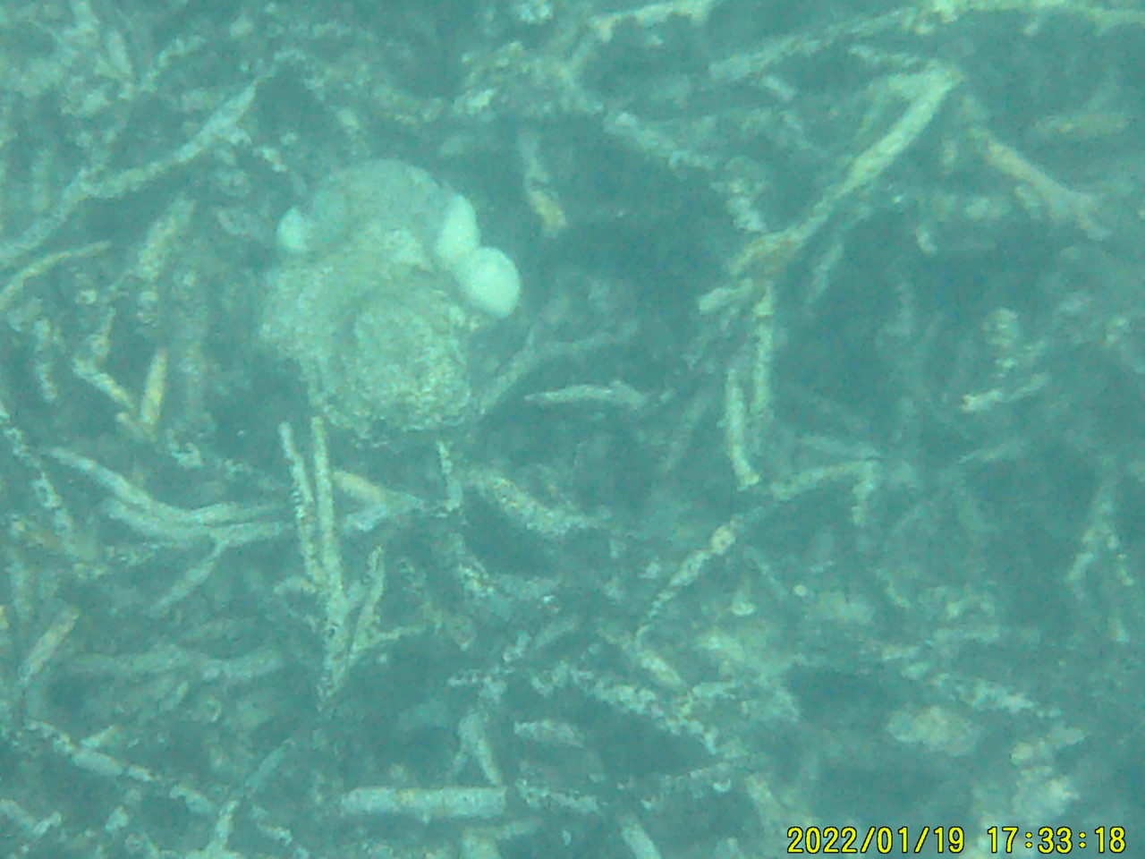 DSCF0059